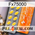 Fx75000 new05